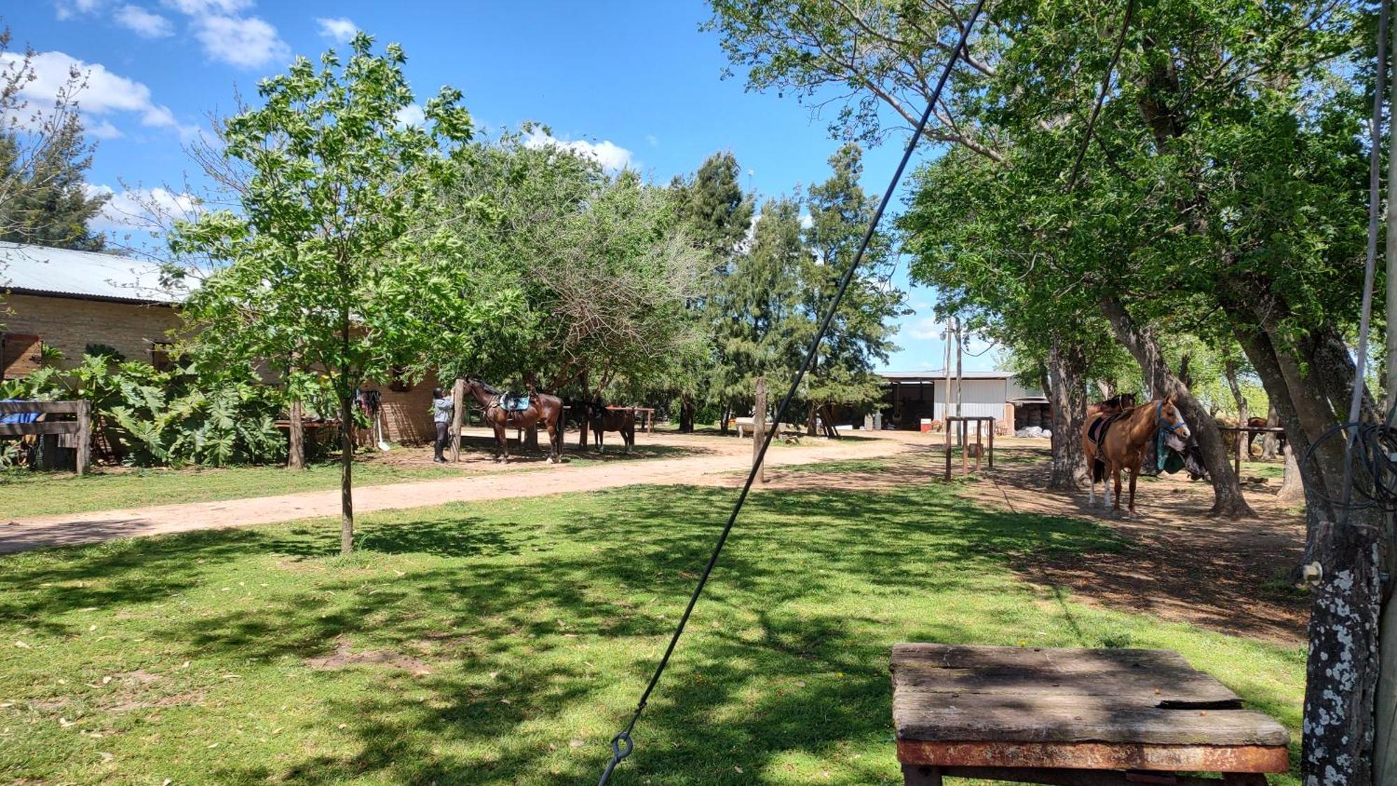 Cabana Rural El Encuentro San Antonio de Areco Chambre photo