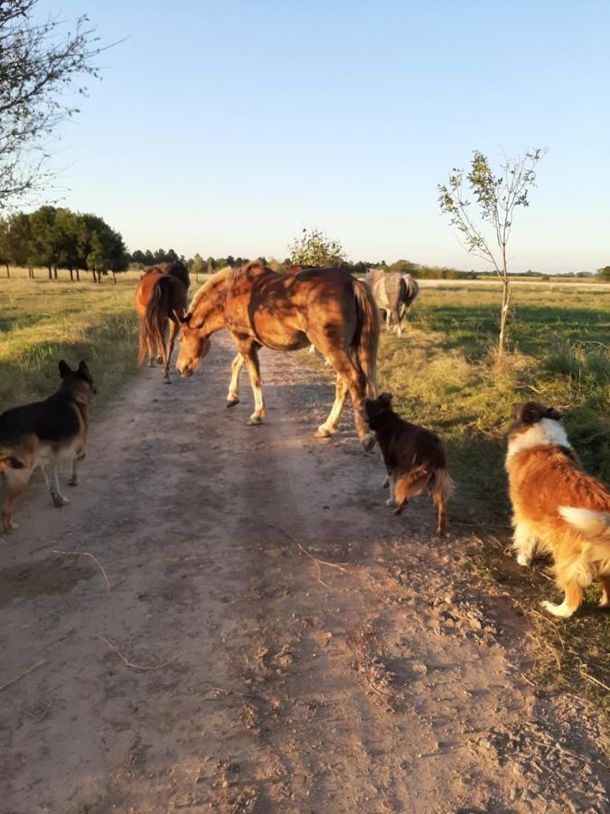 Cabana Rural El Encuentro San Antonio de Areco Extérieur photo